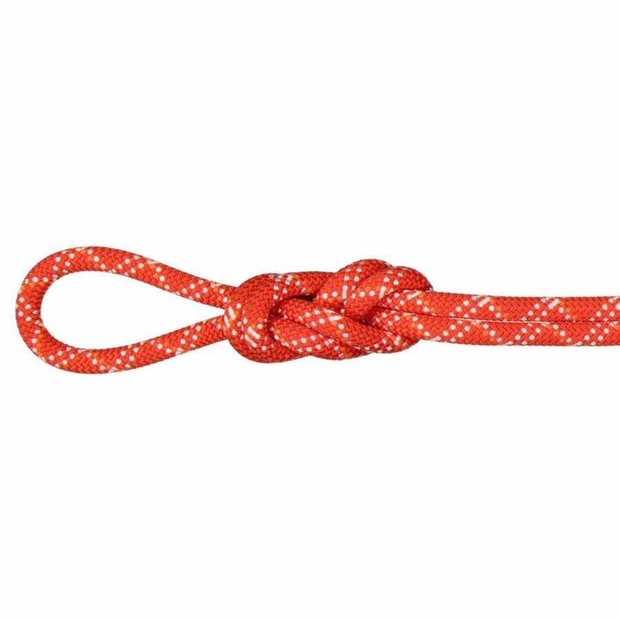 Ropes & Cordage * | Mammut 9.5 Gym Classic Rope